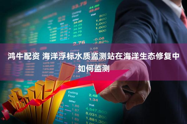 鸿牛配资 海洋浮标水质监测站在海洋生态修复中如何监测