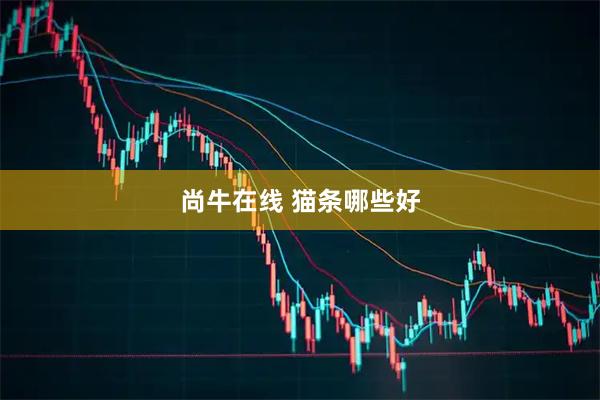 尚牛在线 猫条哪些好