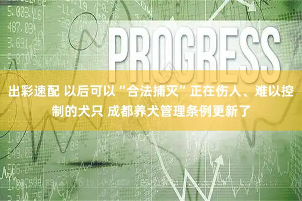 出彩速配 以后可以“合法捕灭”正在伤人、难以控制的犬只 成都养犬管理条例更新了