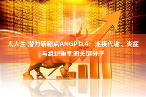 人人生 潜力新靶点ANGPTL4：连接代谢、炎症与组织重塑的关键分子