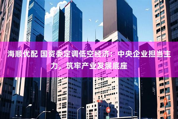 海顺优配 国资委定调低空经济：中央企业担当主力，筑牢产业发展底座