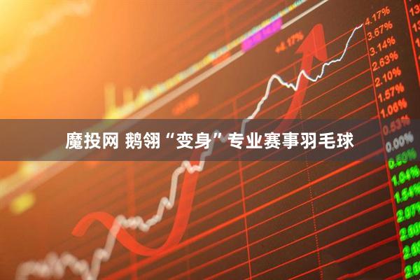魔投网 鹅翎“变身”专业赛事羽毛球